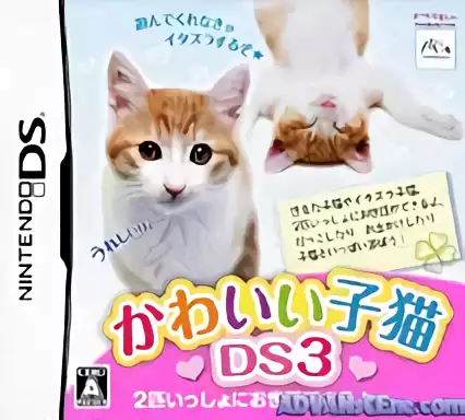 Image n° 1 - box : Kawaii Koneko DS 3